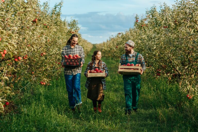 Smiling family of horticulturists walking on their own property with boxes of crops